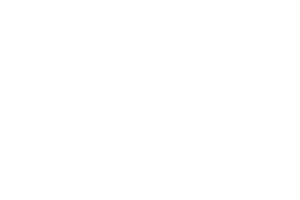 flytographer_logo